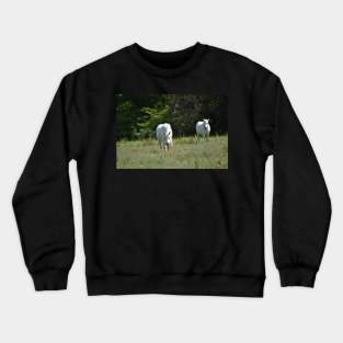 Wild Horse Crewneck Sweatshirt